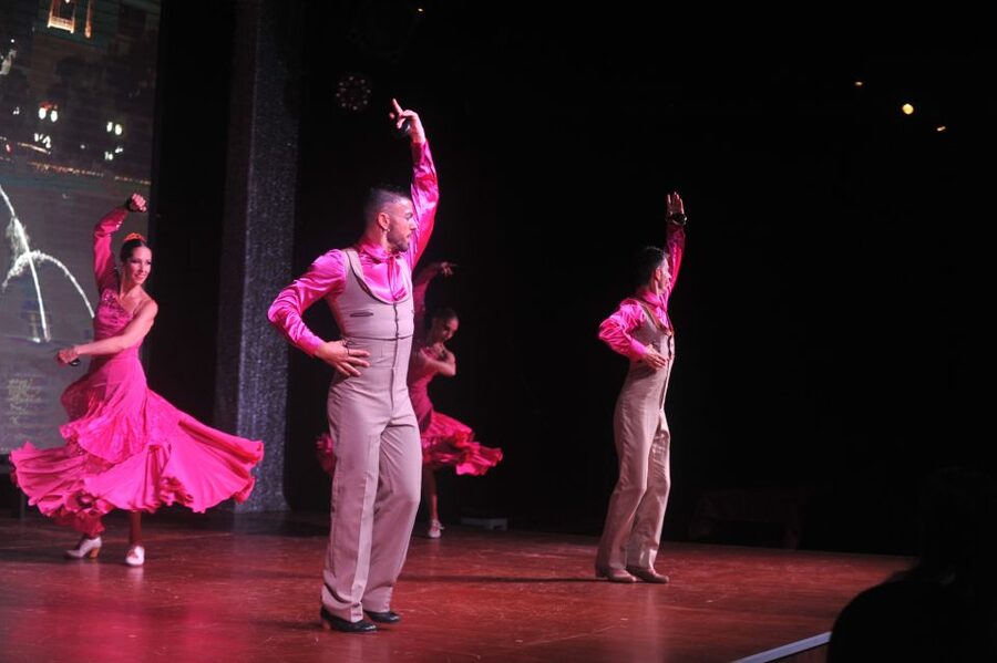 Tenerife: Flamenco Performance at Teatro Coliseo - Accessibility, language, and practical comfort