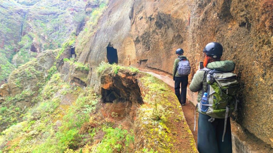 Tenerife: Hiking Tour in Anaga Mountains & Enchanted Forest - Pickup from the coast, then into the hills