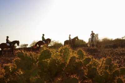 Horseback Ride with Instructor