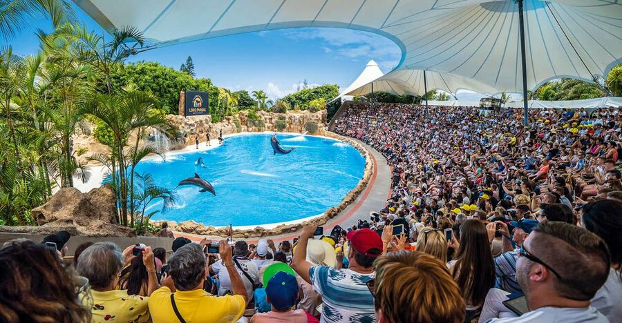 Tenerife: Loro Parque Entry Ticket - Getting to the Entrance and Finding Your Bearings
