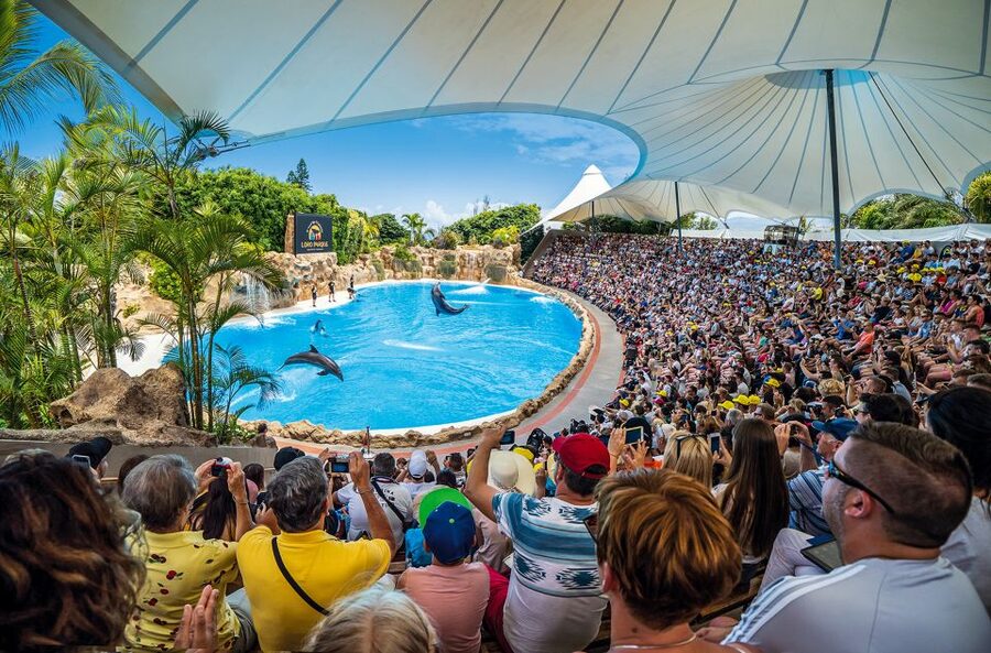 Tenerife: Loro Parque Entry Ticket - Penguins, Aquariums, and the Park’s Best Animal Areas