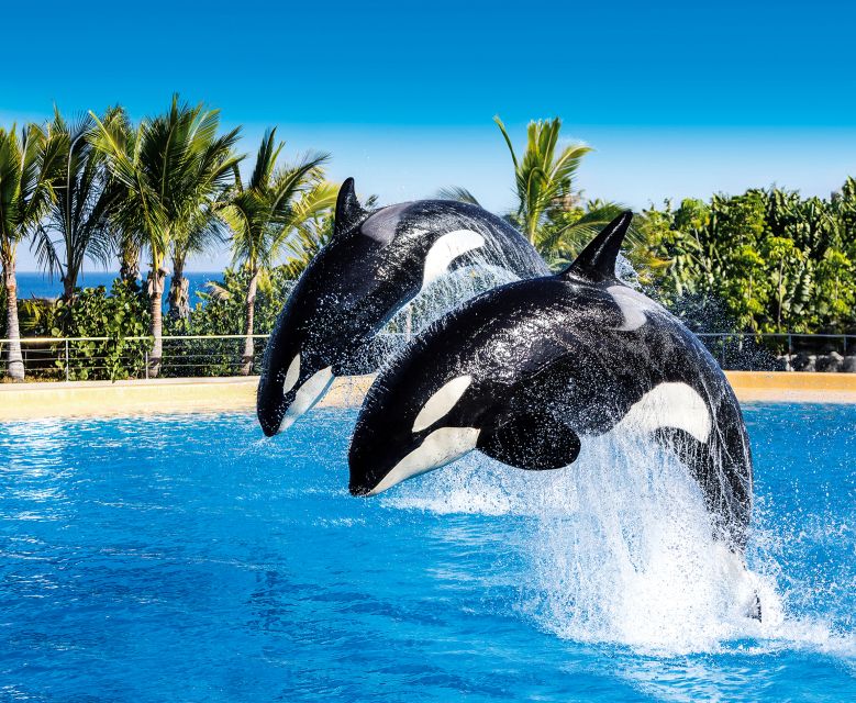 Tenerife: Loro Parque Entry Ticket - A Tropical Garden With Thai-Style Buildings