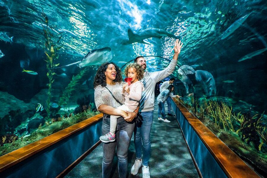 Tenerife: Loro Parque Entry Ticket - Kinderlandia and the Orca Roller Coaster