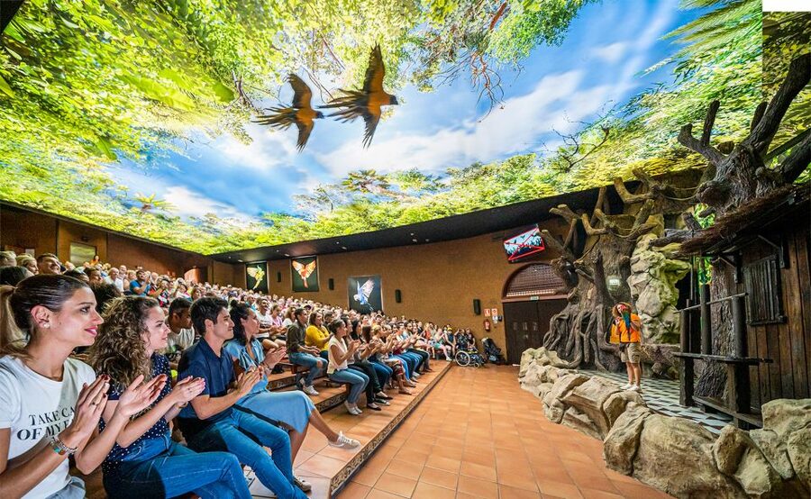 Tenerife: Loro Parque Entry Ticket - The Four Presentations: Plan These Before the Animals