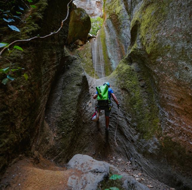 Tenerife: Los Arcos Canyoning Tour with Guide - The 45-minute walk into the canyon