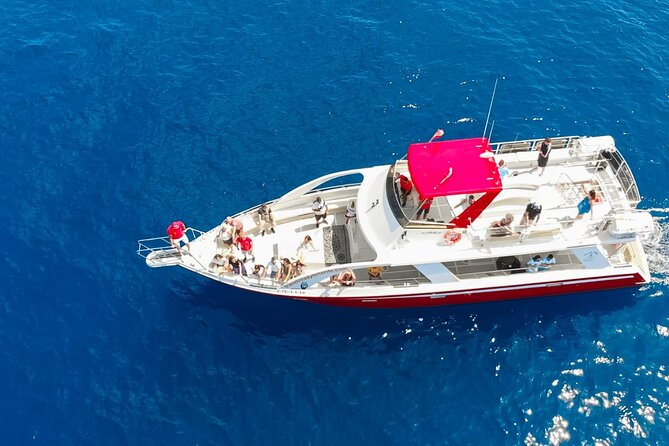 Tenerife Los Cristianos: Whale and Dolphin Eco-Yacht and Swim Stop - Searching for pilot whales and dolphins
