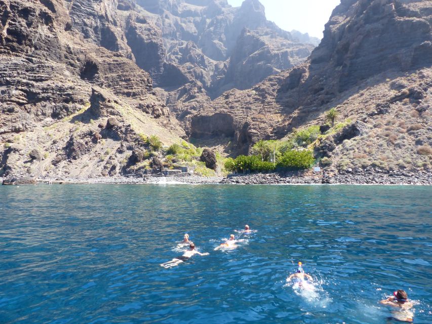 Tenerife: Los Gigantes Whale Watching Cruise by Sail Boat - Practical advice before you book