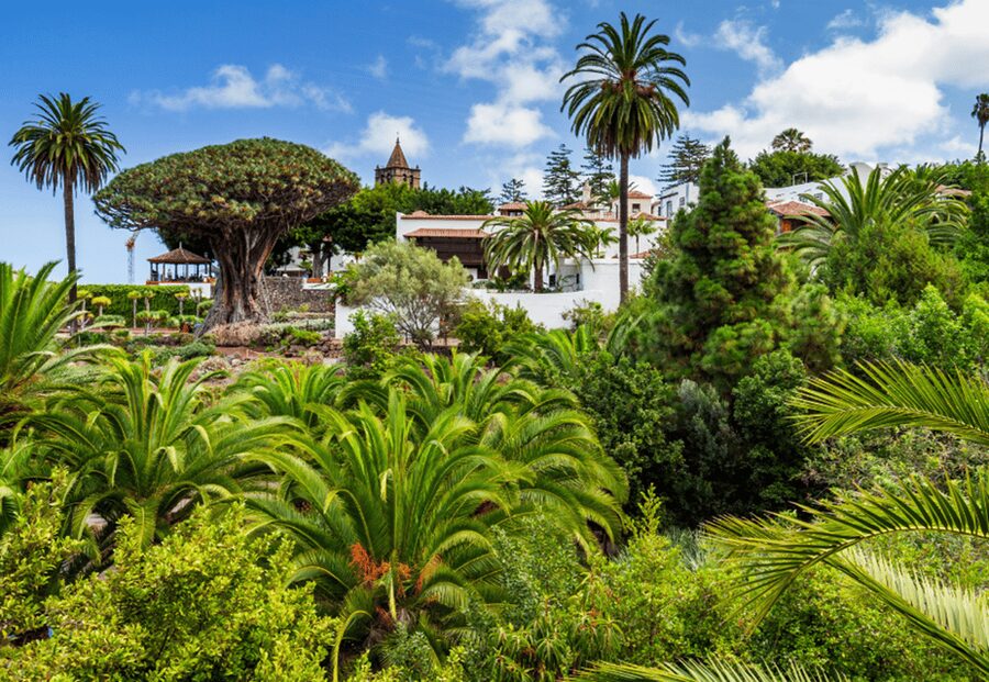 Tenerife: Private Day Tour of the Island with Hotel Pickup - Candelaria and Santa Cruz, from island faith to city life