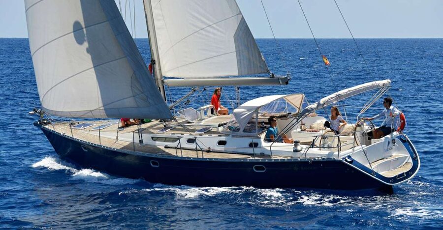 Tenerife: Sailing Excursion with Whale and Dolphin Watching - Key points at a glance
