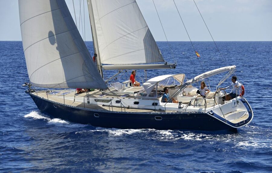 Tenerife: Sailing Excursion with Whale and Dolphin Watching - Sailing along Tenerife’s southern coast