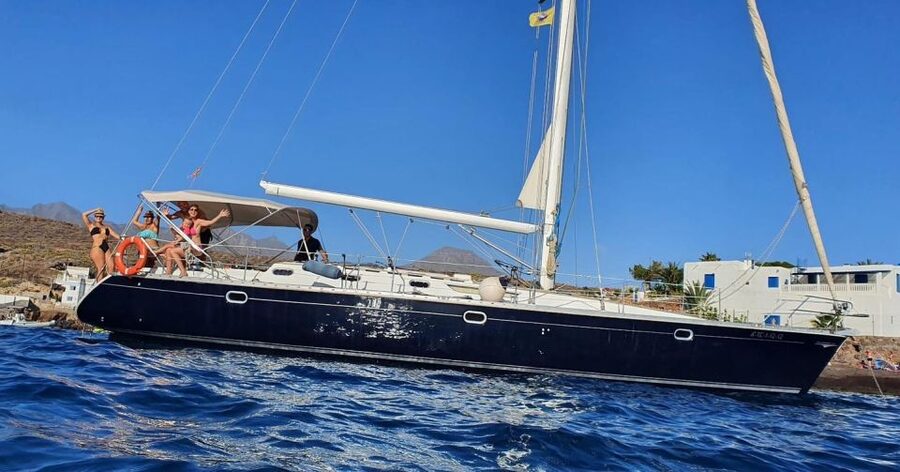 Tenerife: Sailing Excursion with Whale and Dolphin Watching - Booking details that matter