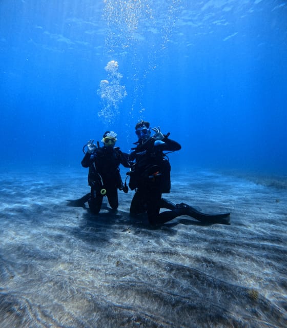 Tenerife: Scuba Diving Experience for Every Level - Who should book this experience
