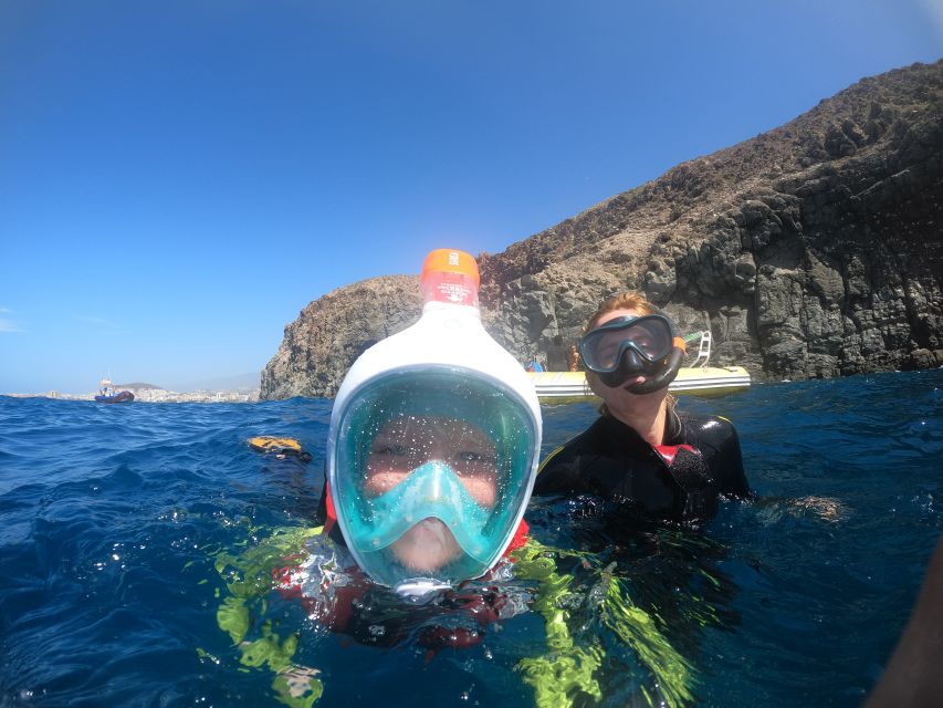 Tenerife: Snorkeling Trip in a Turtle Habitat - From Puerto Colón to the Turtle Area