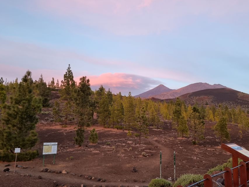 Tenerife: Sunset and Stargazing at Teide National Park - The free photograph under the Milky Way