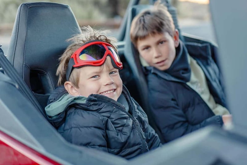 Tenerife: Teide National Park Guided Buggy Tour - Who should book this Teide outing?