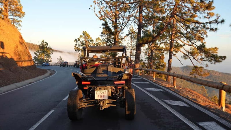 Tenerife: Teide National Park Guided Buggy Tour - Families, couples, and shared buggies