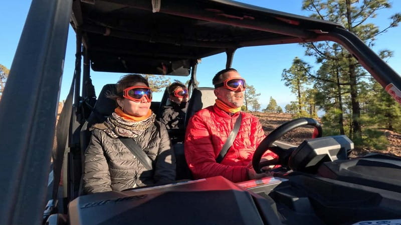 Tenerife: Teide National Park Guided Buggy Tour - A realistic three-and-a-half-hour schedule