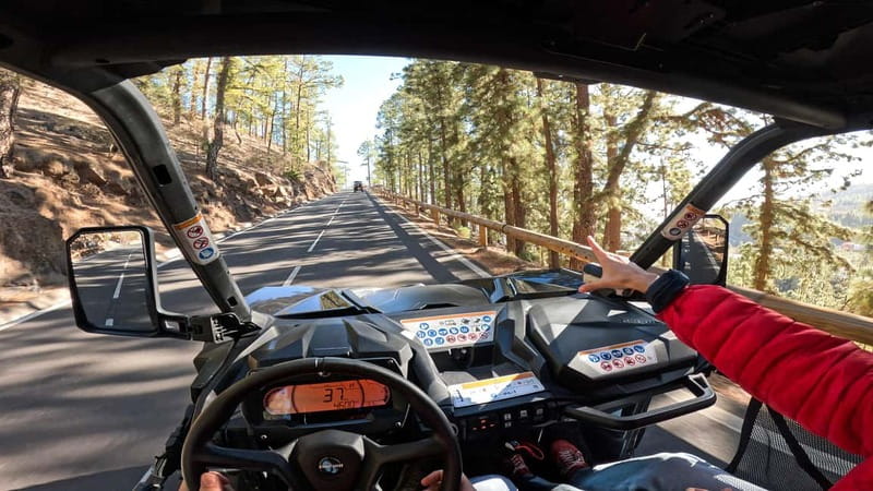 Tenerife: Teide National Park Guided Buggy Tour - From Las Chafiras to the mountain roads