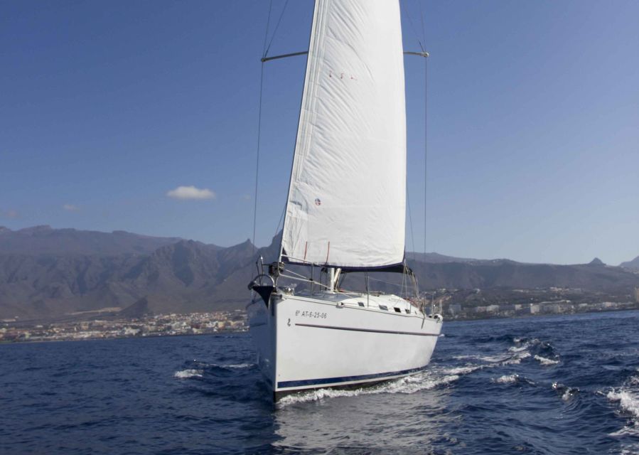 Tenerife: Whale and Dolphin Watching Tour by Sailboat - Three hours along Tenerife’s whale coast