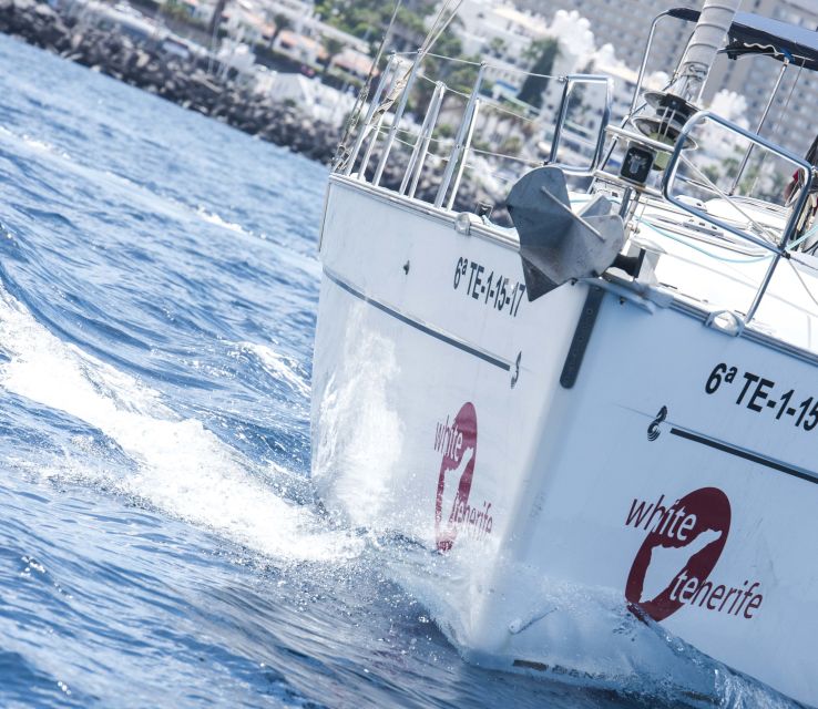 Tenerife: Whale and Dolphin Watching Tour by Sailboat - Is the $69 price fair?