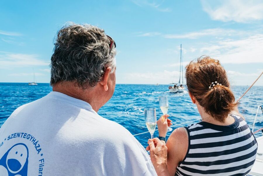 Tenerife: Whale & Dolphin Watching with Drinks and Snacks - A secluded bay for swimming and turtle snorkeling