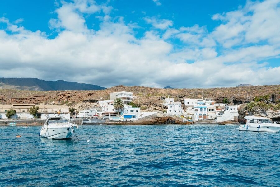 Tenerife: Whale & Dolphin Watching with Drinks and Snacks - How the crew handles seasickness and safety