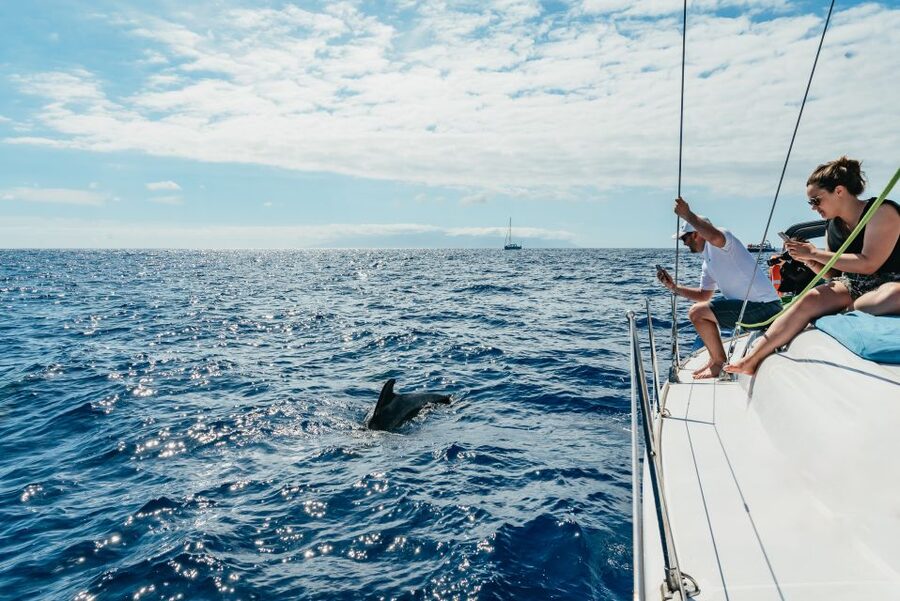 Tenerife: Whale & Dolphin Watching with Drinks and Snacks - Leaving Puerto Colón with a small crew
