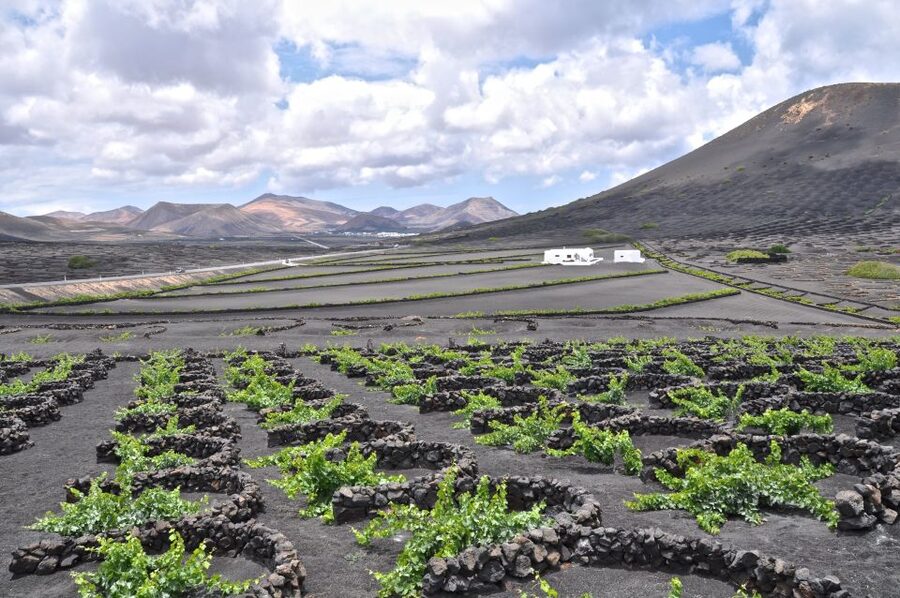 Timanfaya And El Golfo For Cruise Passengers (Mornings) - What happens at Hilario’s Plateau