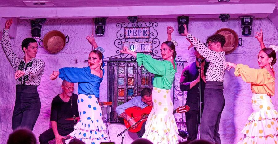 Torremolinos: Flamenco Show with Drinks - Inside the 1965 Pepe López Flamenco Taberna