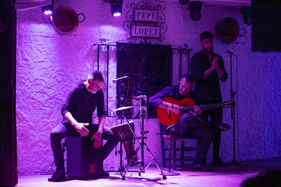 Torremolinos: Flamenco Show with Drinks - Should you book the Pepe López flamenco show?