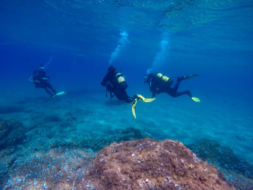 Tossa de Mar: Scuba Diving Experience for Beginners - Key points at a glance