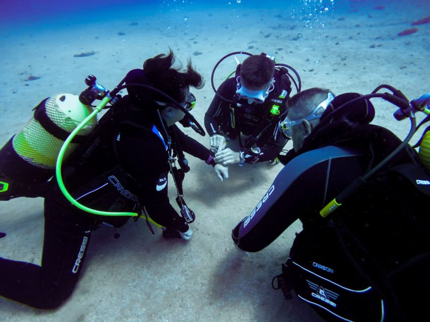 Tossa de Mar: Scuba Diving Experience for Beginners - Languages, timing, and what to pack