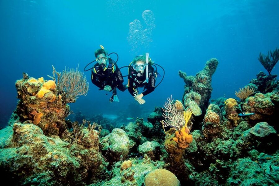 Tossa de Mar: Scuba Diving Experience for Beginners - The equipment lesson before you enter the sea
