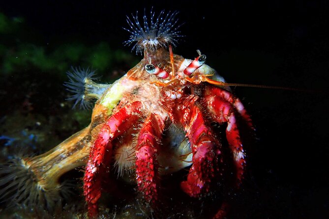 Try Scuba Diving with 2 Ocean Dives - The small details that make the morning easier