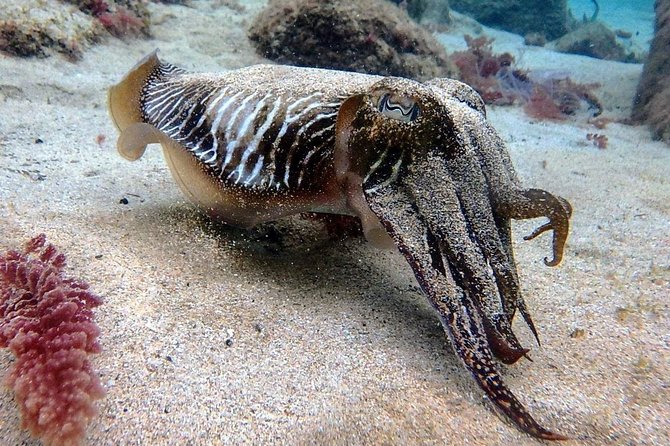 Try Scuba Diving with 2 Ocean Dives - A morning schedule that keeps the day open