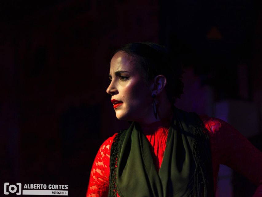 Valencia: Flamenco at Toro y La Luna with optional Dinner - Who will enjoy this evening most