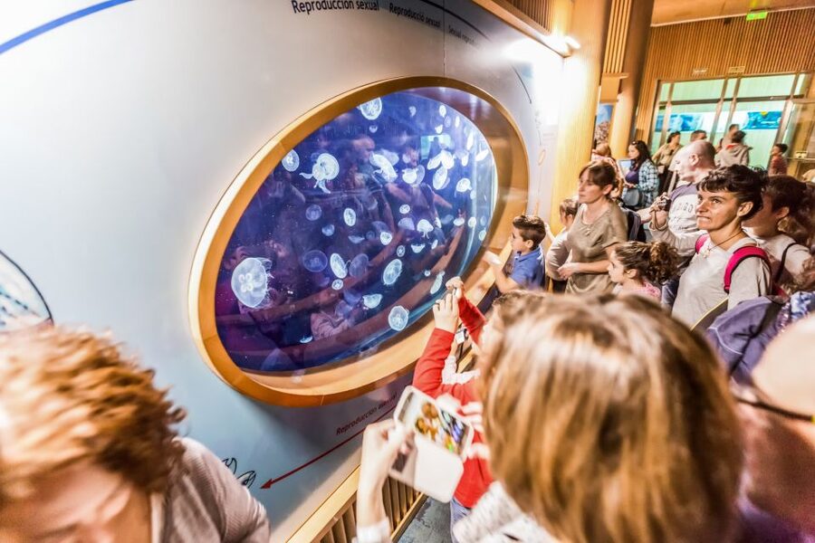 Valencia: Oceanogràfic Entry Ticket - Jellyfish, birds, and the smaller discoveries
