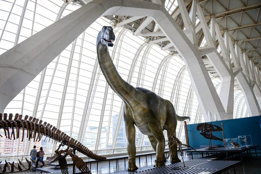 Valencia: Principe Felipe Science Museum Entry Ticket - Summer Heat, Opening Hours, and Timing