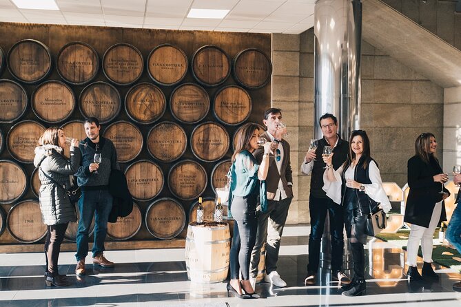 Visit Coastal Vineyard - Walking through a representative Ribeiro vineyard