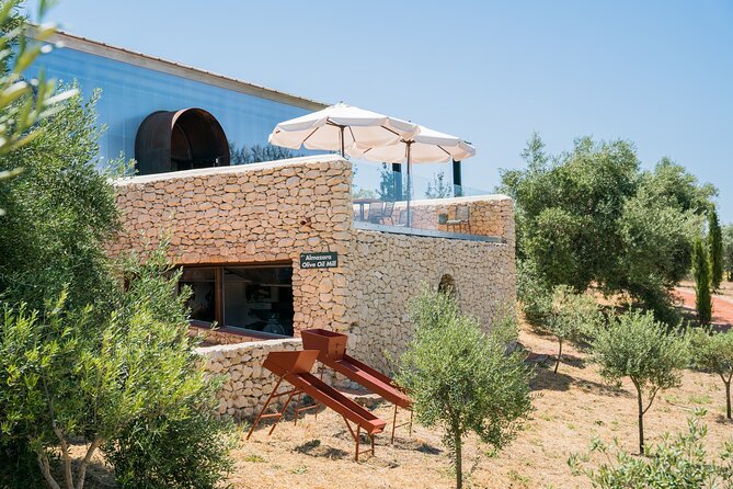 Visit Oil Mill Museum and Olive Oil Tasting in Ronda - The five-minute film gives you the basic oil lesson