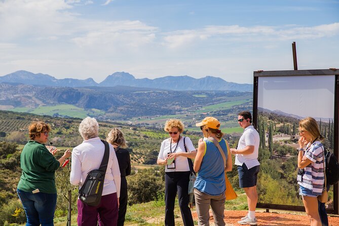 Visit Oil Mill Museum and Olive Oil Tasting in Ronda - Walking between olive trees, vines, and modern art