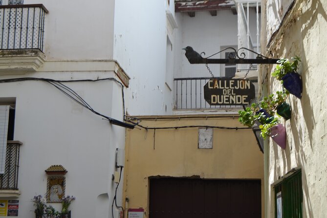 Walking Tour through Cádiz: Stories from the hand of a local guide - Genovés Park offers a slower, greener pause
