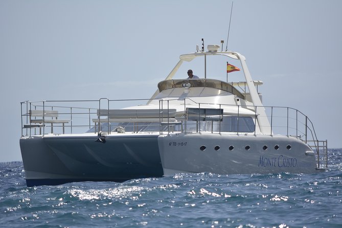 Whale and Dolphin Watching Catamaran with Transfer and Buffet - A close look at Tenerife’s pilot whales