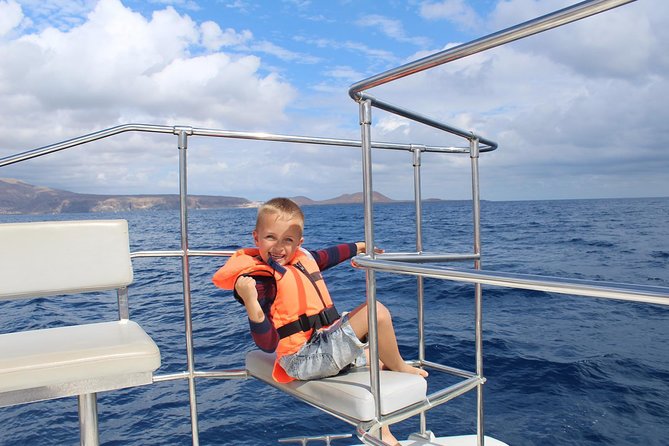 Whale and Dolphin Watching Catamaran with Transfer and Buffet - What the catamaran is like for three hours