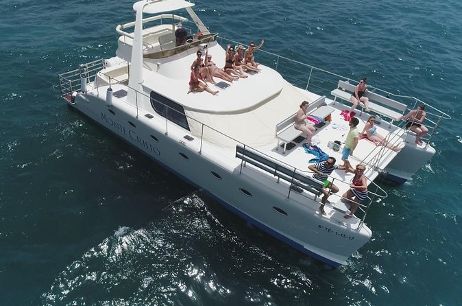 Whale and Dolphin Watching Catamaran with Transfer and Buffet - The whale and dolphin search