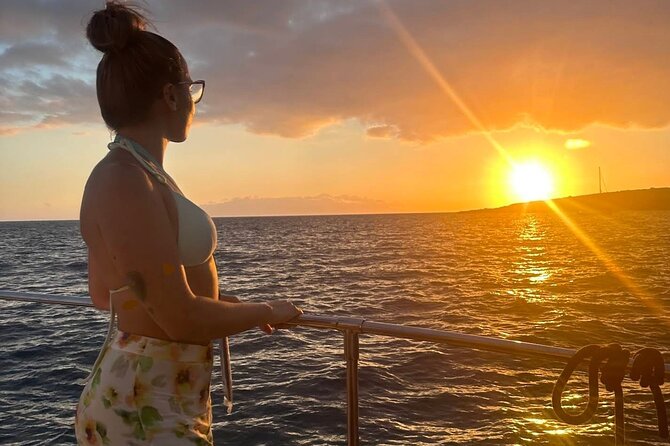 Whale and Dolphin Watching Catamaran with Transfer and Buffet - The return sail along Tenerife’s coast