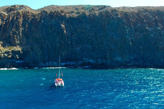 Whale watching and listening Eco-Catamaran Tour with Food Tasting - The swim and snorkel stop