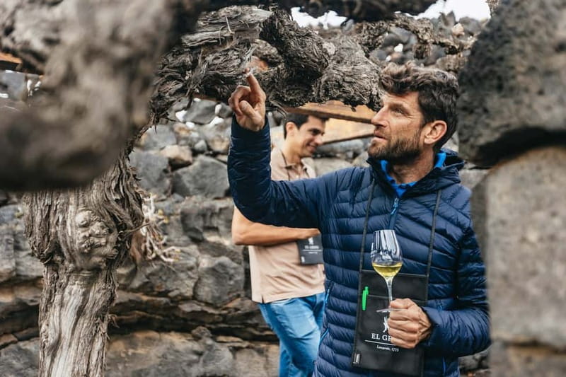 Wine Lovers: Wine Tasting Tour at El Grifo Bodega Lanzarote - Why El Grifo makes a good Lanzarote wine stop