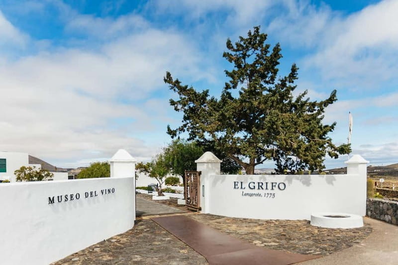 Wine Lovers: Wine Tasting Tour at El Grifo Bodega Lanzarote - The tasting: six wines and local cheese