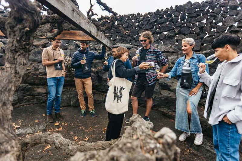 Wine Lovers: Wine Tasting Tour at El Grifo Bodega Lanzarote - Timing, transport, and the price
